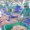 Vietnam’s aquatic product exports rake in 9.39 billion USD in 10 months