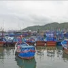 Khanh Hoa asked to hasten moves to address IUU fishing