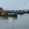 Vietnam works hard to prevent fishing vessels' infringement of foreign waters