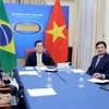 Vietnam, Brazil hold deputy ministerial-level political consultation