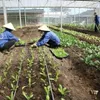 Organic farming key to healthy value chains