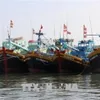 Quang Tri takes concerted measures to prevent IUU fishing