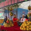 Hoa Binh promotes image of Cao Phong oranges