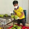 Ben Tre Province to ship first batch of green-skinned pomelos to US