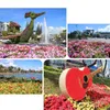 Da Lat flower space, int’l flower expo open