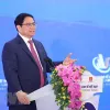 Vietnam has successful year despite difficulties: PM