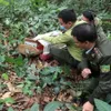 President calls for joint efforts to preserve and uphold the values of Cuc Phuong National Park