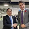 Vietnam - largest Southeast Asian trade partner of Canada: Ambassador