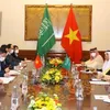 Foreign Minister Bui Thanh Son holds talks with Saudi Arabian counterpart