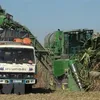 Anti-dumping investigation into cane sugar extended