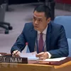 Vietnam wants to contribute more to UN’s common agenda: Ambassador