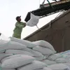 Vietnam’s rice export turnover up 10.5 percent in Q1