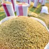 Tariff quotas for rice, dried tobacco imported from Cambodia announced