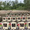 Soldiers’ remains repatriation team in An Giang honoured