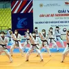 Taekwondo tournament marks 30 years of Vietnam-RoK ties
