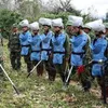 Vietnam shares experience in post-war landmine clearing