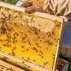 US cuts down anti-dumping duties on Vietnam’s honey by almost sevenfold