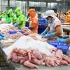 Vietnamese tra fish sector likely to enter new development cycle