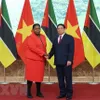 Mozambique is a key partner of Vietnam in Africa: PM