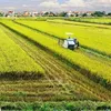 Agricultural sector ensures food security, exports