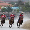 Bac Ha Horse Racing Festival kicks off