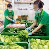 OUB maintains Vietnam’s GDP growth forecast at 6.5 percent