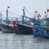 Vietnam makes continuous efforts to fight IUU fishing