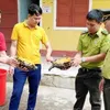 Quang Binh’s national park receives three rare impressed tortoises