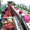 Workshop helps fresh fruit exporters learn about China’s new regulations