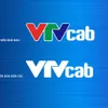 VTVcab announces new brand identity