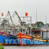 Thanh Hoa vessels possible of violating rules against IUU fishing announced