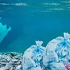 TV program 'White Pollution': changing awareness of plastic waste and pollution