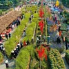 Home Hanoi Xuan 2023 flower street closes