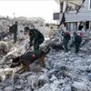 Vietnam announces 200,000 USD aid to Turkey, Syria after earthquake