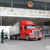 First 150 tonnes of dragon fruit exported through Kim Thanh Border Gate in Lao Cai