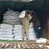 Rice earmarked for seven localities for Tet