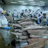 Tuna becomes billion-dollar export for first time: VASEP