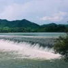 Phu Yen receives certificate honouring Dong Cam Dam as national site