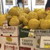 First batch of ‘Dien’ pomelos exported to UK