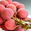 Vietnamese fruits hold lion’s share in Australian market