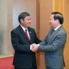 Vietnamese, Lao legislatures consolidate close ties