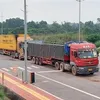 Mong Cai int’l border gate facilitates Vietnam’s exports to China