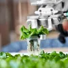 Application of AI technology to develop modern and sustainable agriculture