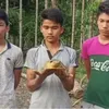 Rescue rare species of tortoise in India and Vietnam