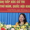 Vice Presdient Vo Thi Anh Xuan meets voters in An Giang Province