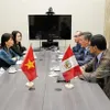 Peruvian President hails bilateral relations with Vietnam