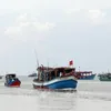 Ca Mau fishermen asked to work legally, responsibly