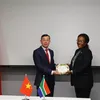 Vietnamese, South African audit offices share experience