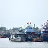 Da Nang, Quang Binh strengthen measures against IUU fishing