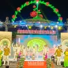 Peace festival opens in Dong Thap